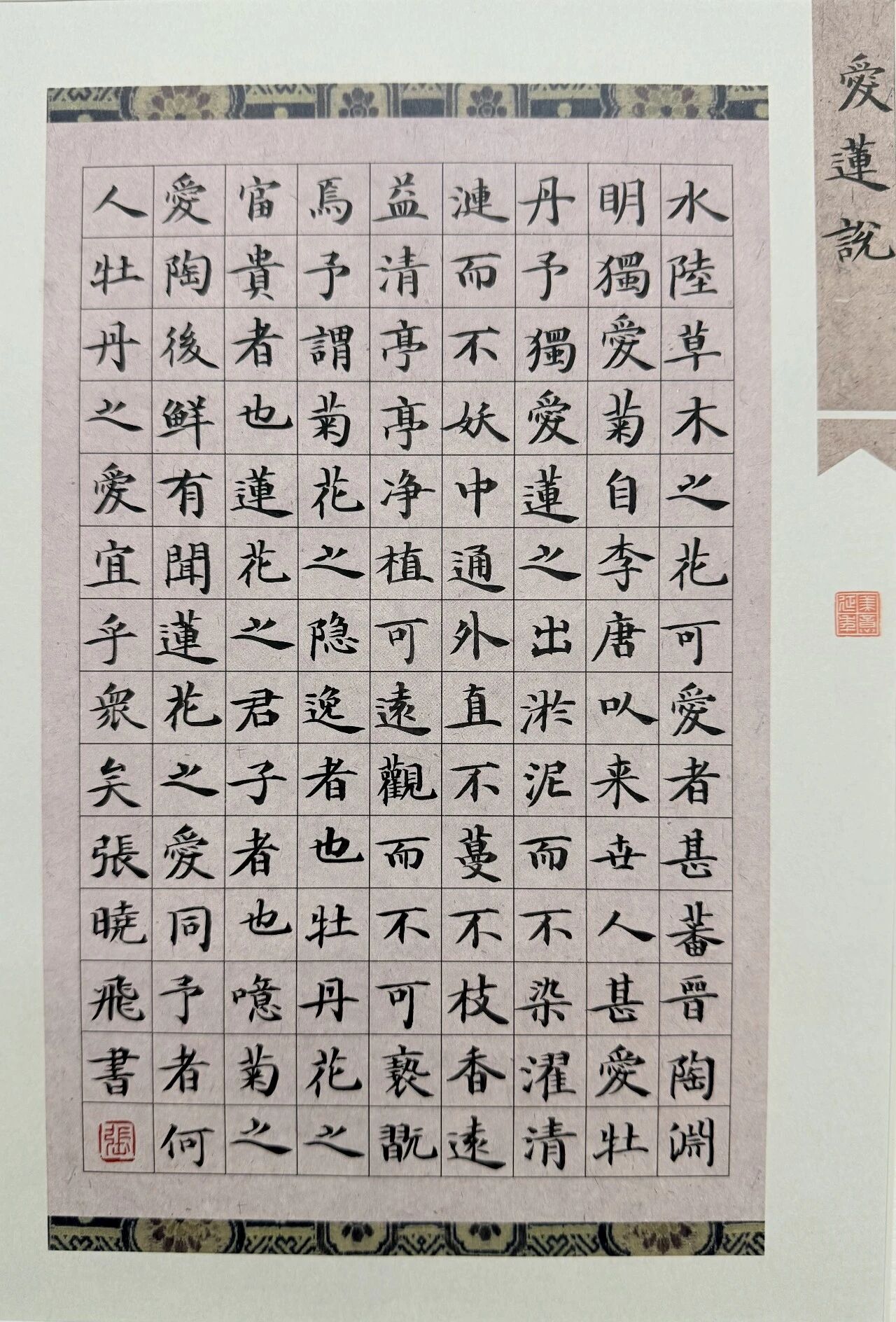 1790131633482933.jpg